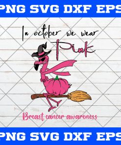 Flamingo In October We Wear Pink SVG, Pink Flamingo SVG, Breast Cancer Awareness SVG, Funny Flamingo Witch Halloween SVG, Pumpkin SVG, Witches SVG
