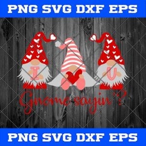 I love you Gnome sayin SVG | Valentine’s Gnome SVG | Valentine’s Shirt Design | Silhouette | Cricut File | PNG DXF EPS SVG