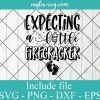 Expecting a little firecracker svg, 4th of July Svg, Baby Reveal